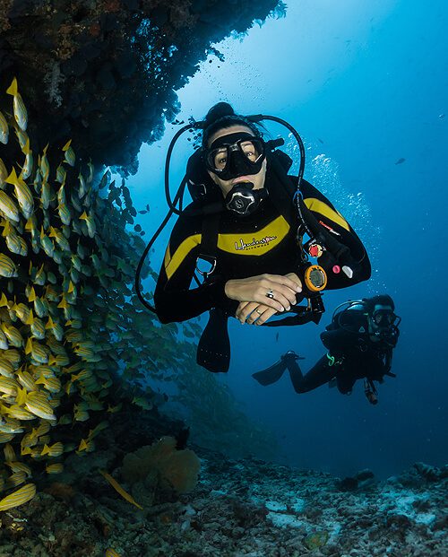 scuba diving in goa