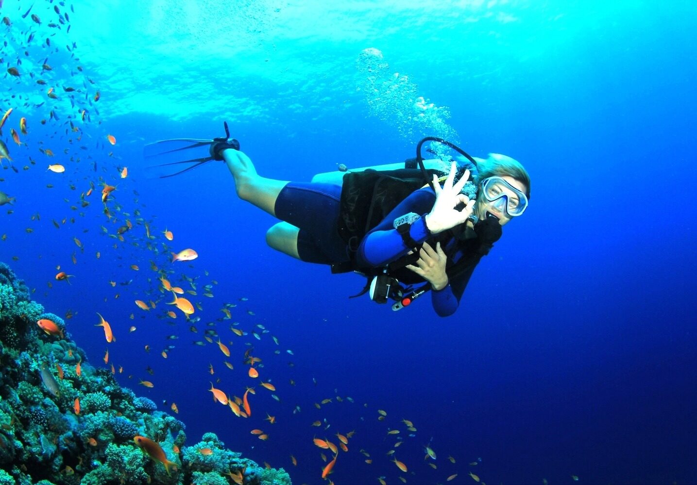 scuba diving in goa