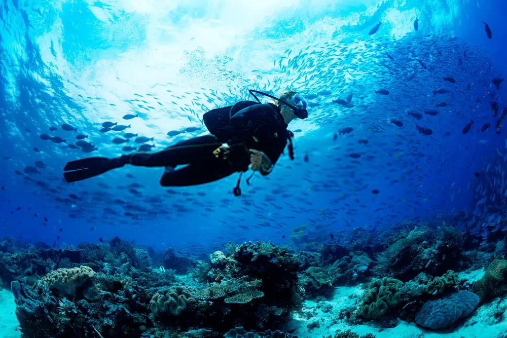 scuba diving price in goa